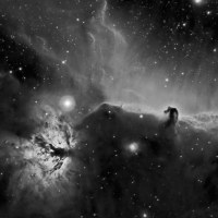 Flame and Horsehead Nebula in Ha
