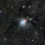 NGC1333: Reflection Nebula in Perseus, also showing the dark structures, taken by Paul Jenkins.