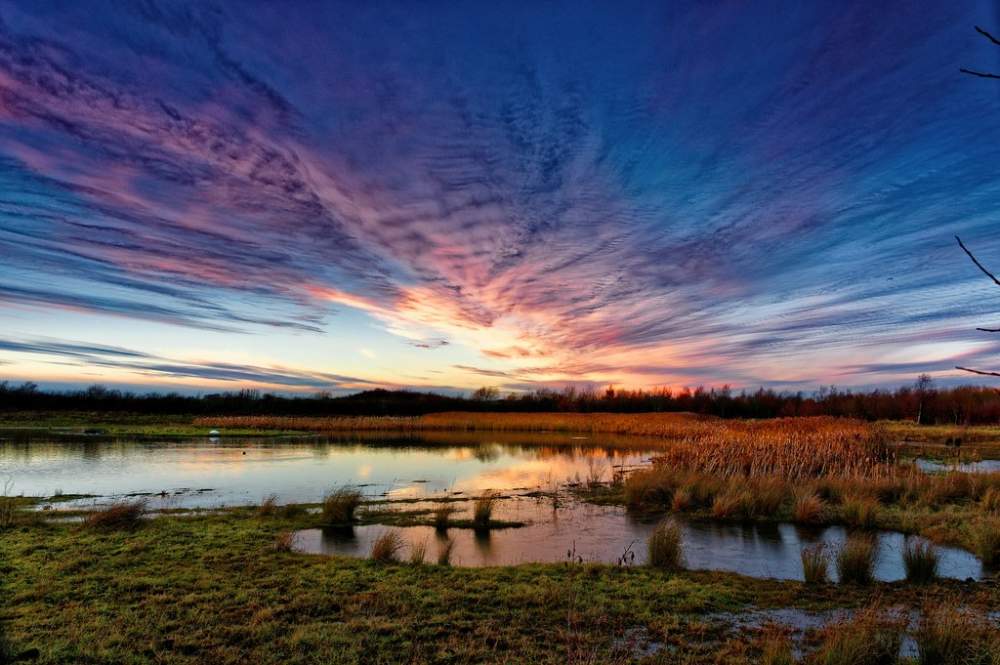 Rainton Meadows-2