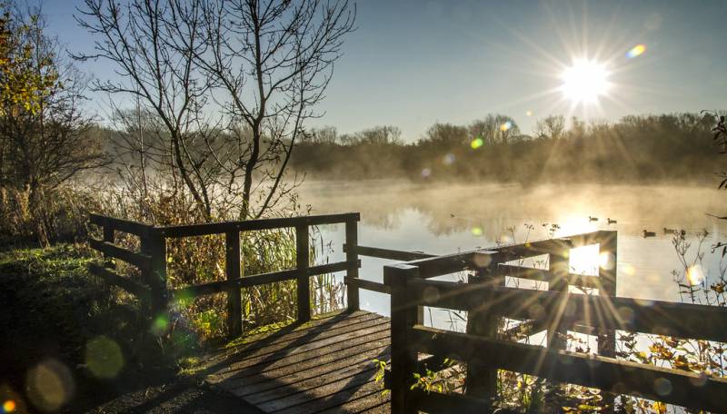 Rainton Meadows-cr